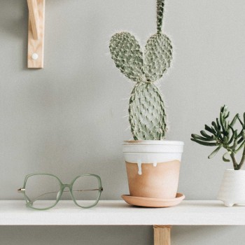 SIXTIES SIX12 verde 'army'/oro 'reine'